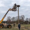 2018 Storchennest(auf)bau in Ausbuettel und Ribbesbuettel 035